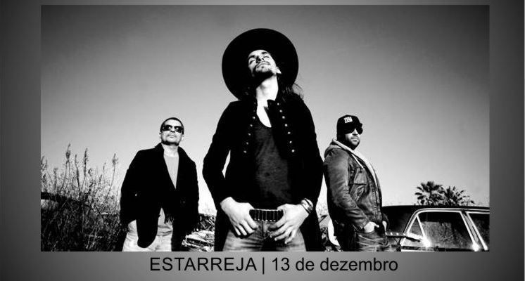 THE BLACK MAMBA ESTARREJA