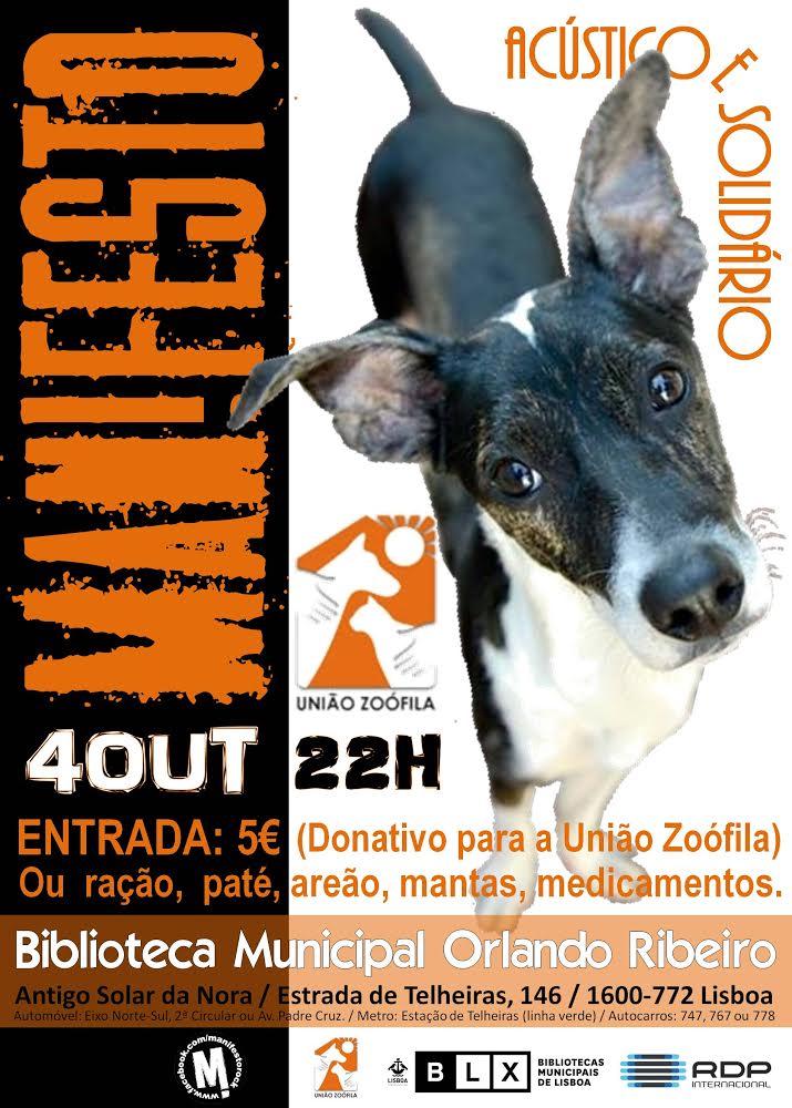 concerto solidario